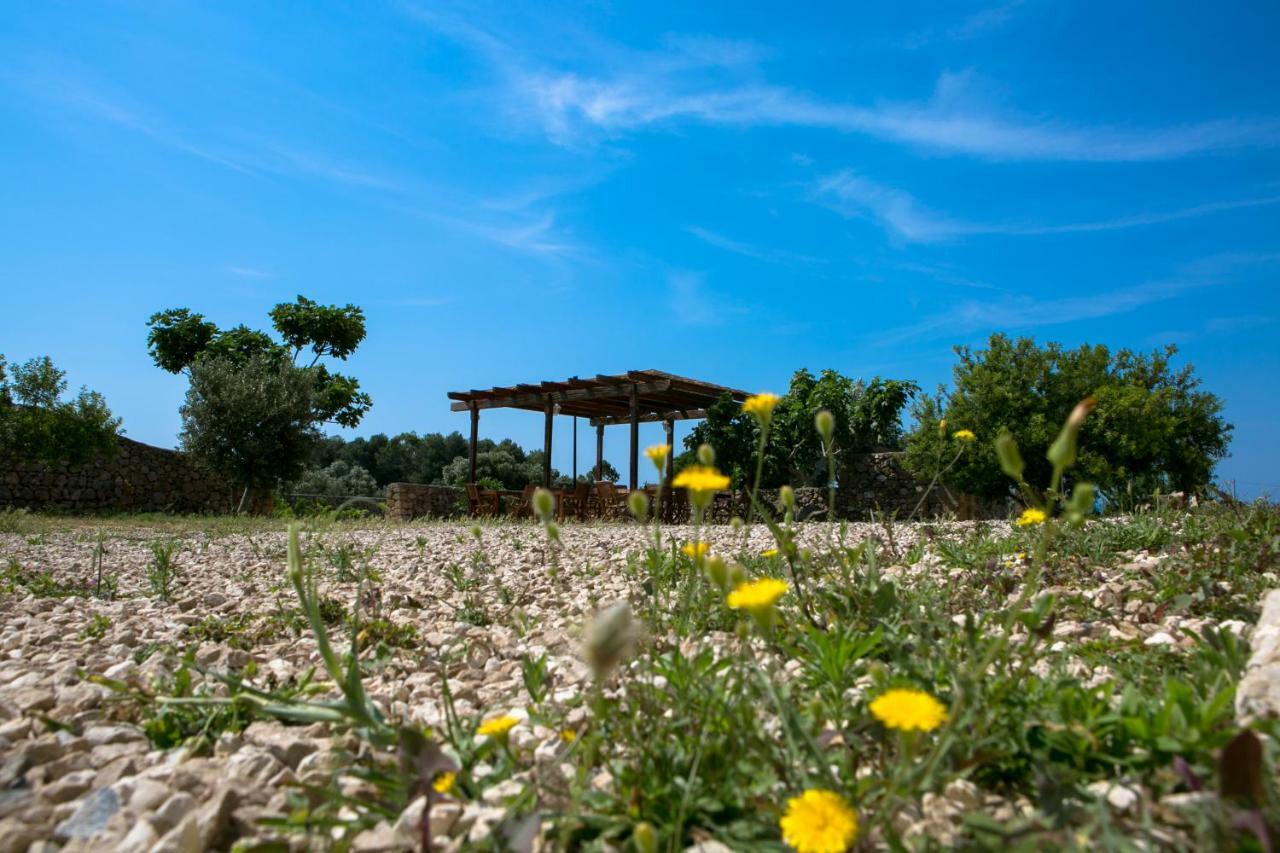 Antica Masseria Ficazzana - Tenuta Marina Di Pescoluse Eksteriør bilde
