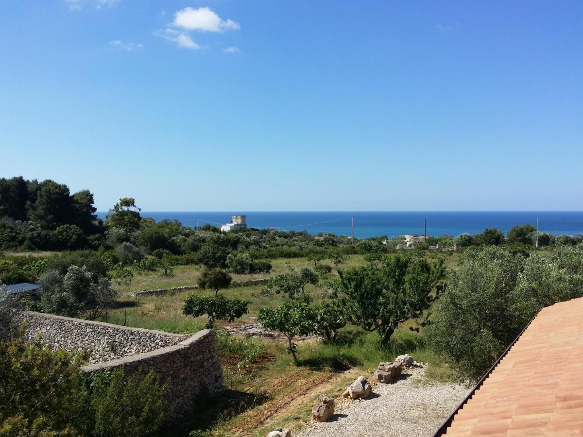 Antica Masseria Ficazzana - Tenuta Marina Di Pescoluse Eksteriør bilde